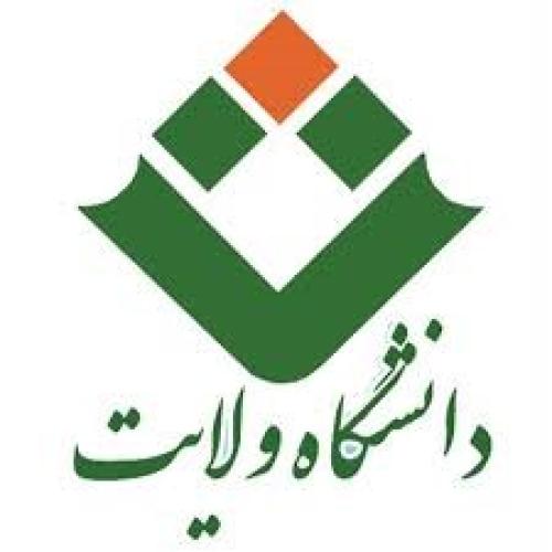 دانشگاه ولایت ایرانشهر
